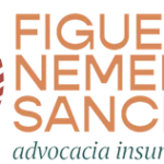 logo_fns
